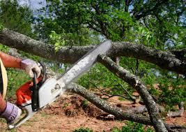 Best Aeration Services  in Valley Cottage, NY